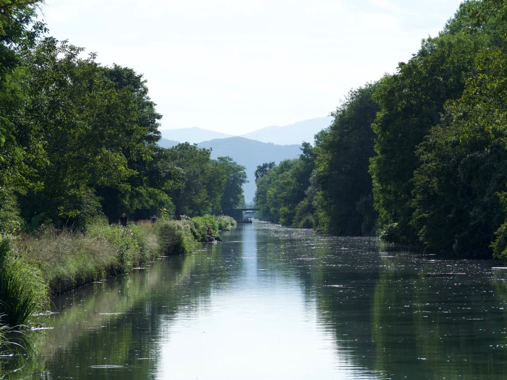Canal bordé d’arbres — paysage alsacien