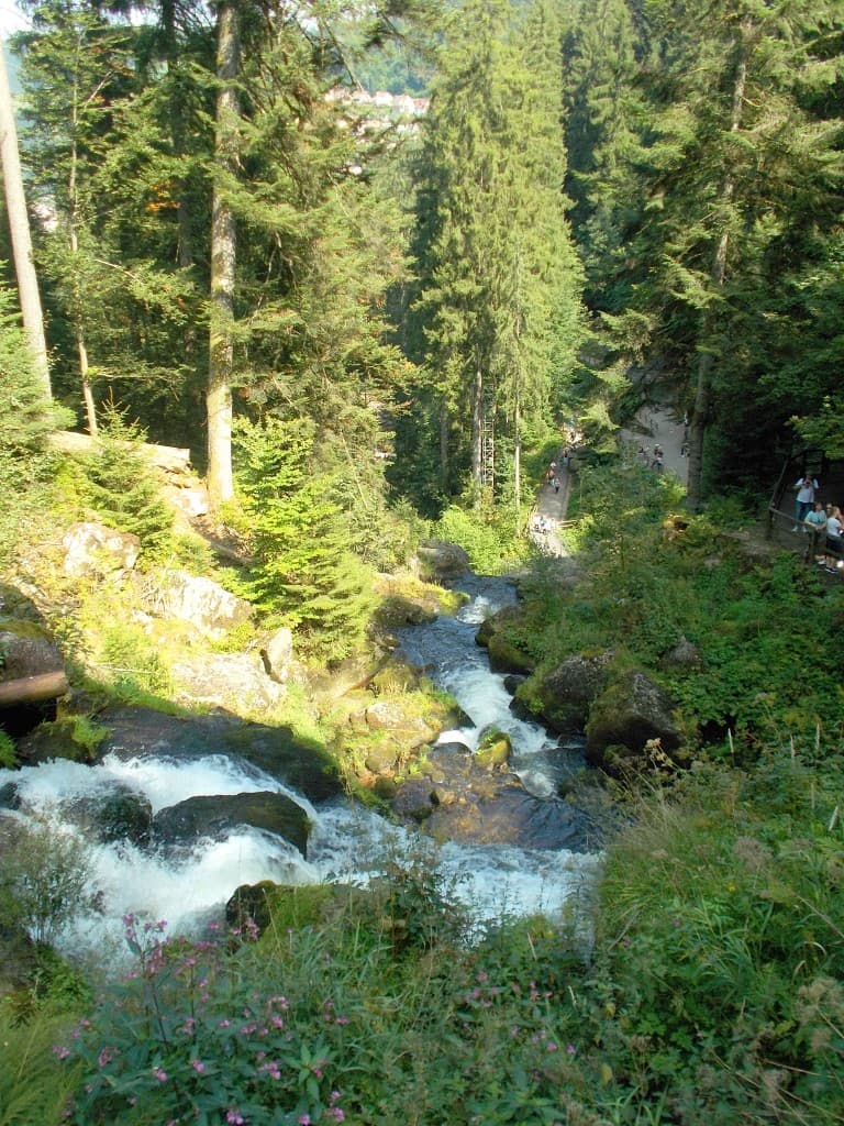 Cascade en forêt des Vosges — Alsace
